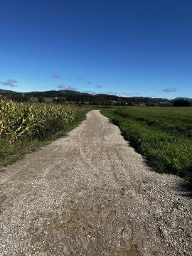 Območje 2_Pohodno kolesarska pot po Loščah